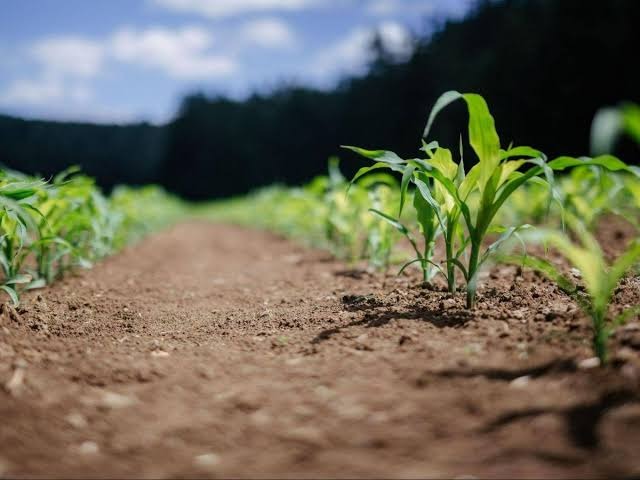 Agriculture durable